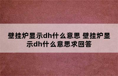 壁挂炉显示dh什么意思 壁挂炉显示dh什么意思求回答